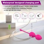 66W-030-Vibrator Kegal Balls/ Egg Powerful G-Spot Vibrator Love Egg Jump Ball Sex Toys Goods For Adults Women(Rose Pink) - Image 9